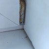 https://cdn-ostrovok-ru-ion.test.edgekey.net/t/100x100/hotel_review/65/7b/657b889250278eac8ddf595dbea410a7f997b6bf.JPEG