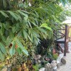 https://cdn-ostrovok-ru-ion.test.edgekey.net/t/100x100/hotel_review/65/a4/65a4f32fd90e68ba52b4f3850485218d11298381.JPEG
