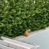 https://cdn-ostrovok-ru-ion.test.edgekey.net/t/100x100/hotel_review/65/fe/65fe5ba3581398f83b9da961dea561549bd5571c.JPEG