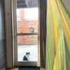 https://cdn-ostrovok-ru-ion.test.edgekey.net/t/100x100/hotel_review/65/ff/65ffa9ea3903c931e06a54f7e5d6a601cef88e57.jpeg
