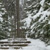 https://cdn-ostrovok-ru-ion.test.edgekey.net/t/100x100/hotel_review/66/56/665629b5c4f32bb445583b4b077d71b3b14d6082.JPEG
