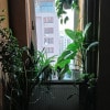 https://cdn-ostrovok-ru-ion.test.edgekey.net/t/100x100/hotel_review/66/b2/66b2d385c2b2981364ea7615fbec4e84e3e418d0.jpeg