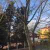 https://cdn-ostrovok-ru-ion.test.edgekey.net/t/100x100/hotel_review/66/be/66be06c9dd8a2b3f6f38cde7c433aea09f445a76.JPEG