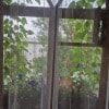 https://cdn-ostrovok-ru-ion.test.edgekey.net/t/100x100/hotel_review/66/cf/66cfe8e652095cc24ab2dc205754f3b66946a602.JPEG