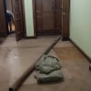 https://cdn-ostrovok-ru-ion.test.edgekey.net/t/100x100/hotel_review/66/f8/66f890e9d7b6fbdabe03b7b954b58189b0615540.JPEG