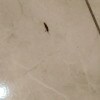 https://cdn-ostrovok-ru-ion.test.edgekey.net/t/100x100/hotel_review/66/f9/66f9cb67653d236d72d07887cfdbee645a7a478d.jpeg