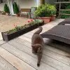 https://cdn-ostrovok-ru-ion.test.edgekey.net/t/100x100/hotel_review/67/01/6701f54439b45bb9394dc4a91ea8985949b59107.JPEG