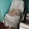 https://cdn-ostrovok-ru-ion.test.edgekey.net/t/100x100/hotel_review/67/26/6726d9de65721d6a0b88a2f005d7dbcbeedd29a8.JPEG