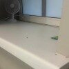 https://cdn-ostrovok-ru-ion.test.edgekey.net/t/100x100/hotel_review/67/3c/673c97b6f2a0a21515871212ba6ea2906a1dbae1.JPEG