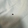 https://cdn-ostrovok-ru-ion.test.edgekey.net/t/100x100/hotel_review/67/5f/675fa081e895ea60109d2841b092e12c7b984495.JPEG