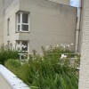 https://cdn-ostrovok-ru-ion.test.edgekey.net/t/100x100/hotel_review/67/66/67667b550f2de706b90e014bbddc6c59643c5a1c.JPEG