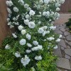 https://cdn-ostrovok-ru-ion.test.edgekey.net/t/100x100/hotel_review/67/7b/677ba37414e4216a459a4b2fe5453ba4a7aa1310.JPEG