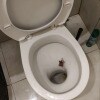 https://cdn-ostrovok-ru-ion.test.edgekey.net/t/100x100/hotel_review/67/d6/67d661c53bfcf0eda2006e1404ddb7093d0cf209.JPEG