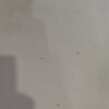 https://cdn-ostrovok-ru-ion.test.edgekey.net/t/100x100/hotel_review/67/d7/67d7663e2ab91c4941cfa05d964fff875ab152e7.JPEG