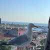 https://cdn-ostrovok-ru-ion.test.edgekey.net/t/100x100/hotel_review/67/f5/67f535644ebaa2793c1fe151e03d444ed170e63f.JPEG