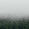 https://cdn-ostrovok-ru-ion.test.edgekey.net/t/100x100/hotel_review/68/50/6850b08fe4f2dc1575e8b8c7907463bc73b78a7a.JPEG