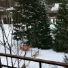 https://cdn-ostrovok-ru-ion.test.edgekey.net/t/100x100/hotel_review/68/61/686141f4b2da89b57b56b2d563a6280897e529b9.JPEG