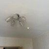 https://cdn-ostrovok-ru-ion.test.edgekey.net/t/100x100/hotel_review/68/66/6866faf0b39ee41061731a33a854d1e4611e3010.JPEG