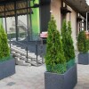 https://cdn-ostrovok-ru-ion.test.edgekey.net/t/100x100/hotel_review/68/87/68870e70629fbd26ed0ce21442905ceaed659fd8.JPEG