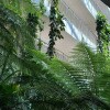 https://cdn-ostrovok-ru-ion.test.edgekey.net/t/100x100/hotel_review/68/c9/68c90de264c28b520f0a3d1a4c7666d73b73dfa9.JPEG
