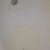 https://cdn-ostrovok-ru-ion.test.edgekey.net/t/100x100/hotel_review/68/dc/68dc8cb5a20d96a2e876060875ddd1d08541ea8a.JPEG