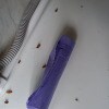 https://cdn-ostrovok-ru-ion.test.edgekey.net/t/100x100/hotel_review/69/2d/692d80bc44075ec5c0599d9e2f252355cfdc7641.jpeg