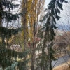 https://cdn-ostrovok-ru-ion.test.edgekey.net/t/100x100/hotel_review/69/45/6945142d79e0edef16ed21138e6d6bd7de56bc9a.JPEG