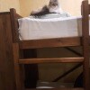 https://cdn-ostrovok-ru-ion.test.edgekey.net/t/100x100/hotel_review/69/54/69544e2cbf3ce5f4b17ed19635d9480f3d40d783.JPEG