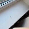 https://cdn-ostrovok-ru-ion.test.edgekey.net/t/100x100/hotel_review/69/64/6964b7de33a9f5d502e2e4b8d717e7ec4851ce96.JPEG
