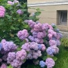 https://cdn-ostrovok-ru-ion.test.edgekey.net/t/100x100/hotel_review/69/76/69761eed0a11bdaf6d9c63af6d9f681d294a7d0d.JPEG