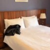 https://cdn-ostrovok-ru-ion.test.edgekey.net/t/100x100/hotel_review/69/79/6979651d0856ad7788af19e2fdedd065a4cd28a5.JPEG