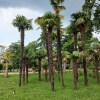 https://cdn-ostrovok-ru-ion.test.edgekey.net/t/100x100/hotel_review/69/aa/69aaeaaacfb9ae77a70d00be21c6800b846c4874.JPEG