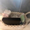 https://cdn-ostrovok-ru-ion.test.edgekey.net/t/100x100/hotel_review/69/fb/69fbe3dd5491b34e292c50b3f550f792ac5cca7a.JPEG