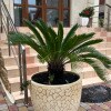 https://cdn-ostrovok-ru-ion.test.edgekey.net/t/100x100/hotel_review/6a/21/6a2183cbd341f7b8fffdffd1c6634402f66ac93f.jpeg