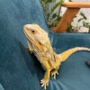 https://cdn-ostrovok-ru-ion.test.edgekey.net/t/100x100/hotel_review/6a/46/6a46a2e6c862fe11f99c02bd3553f00ec411bb29.JPEG