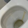 https://cdn-ostrovok-ru-ion.test.edgekey.net/t/100x100/hotel_review/6a/5a/6a5a29f74371fa8dbc0b641df259f9b76cef8884.JPEG
