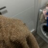 https://cdn-ostrovok-ru-ion.test.edgekey.net/t/100x100/hotel_review/6a/64/6a641496c83b7eab6ff611d5b2fa4bc3050b6591.JPEG