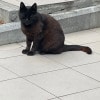 https://cdn-ostrovok-ru-ion.test.edgekey.net/t/100x100/hotel_review/6a/f4/6af4015190b44fc7dc74d9428416a38016924997.JPEG