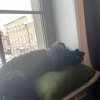 https://cdn-ostrovok-ru-ion.test.edgekey.net/t/100x100/hotel_review/6b/2f/6b2f2e84b09ddd61e7bfb15cff3f599a95898fa9.JPEG