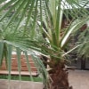 https://cdn-ostrovok-ru-ion.test.edgekey.net/t/100x100/hotel_review/6b/8a/6b8ab19b08f83f0456639c46e5f200810fc61450.JPEG