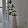 https://cdn-ostrovok-ru-ion.test.edgekey.net/t/100x100/hotel_review/6b/bd/6bbda578b597fbc559ccb98374715cdb7383ba13.JPEG