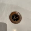 https://cdn-ostrovok-ru-ion.test.edgekey.net/t/100x100/hotel_review/6c/76/6c7629c2bec461341dc8a0e261714a2ece2c916e.jpeg