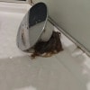 https://cdn-ostrovok-ru-ion.test.edgekey.net/t/100x100/hotel_review/6c/a0/6ca0b04aec5758953529fdc04196a89adb4433f7.JPEG
