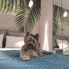 https://cdn-ostrovok-ru-ion.test.edgekey.net/t/100x100/hotel_review/6d/0b/6d0bb2987d32d609c27cd5c4e067b79ba5cc93ec.jpeg