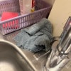 https://cdn-ostrovok-ru-ion.test.edgekey.net/t/100x100/hotel_review/6d/39/6d3986f7b35050612ade84ca94dd9e6425743e38.JPEG