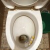 https://cdn-ostrovok-ru-ion.test.edgekey.net/t/100x100/hotel_review/6d/68/6d688fed1684570bda06e4c5cc792701381ea248.JPEG