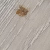 https://cdn-ostrovok-ru-ion.test.edgekey.net/t/100x100/hotel_review/6d/9b/6d9bec1a3ae77188062c91d33e576aeb5845687e.JPEG