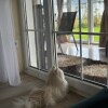 https://cdn-ostrovok-ru-ion.test.edgekey.net/t/100x100/hotel_review/6d/a4/6da45be3768ceafcbc3a73a8391b47b0b56e982e.JPEG