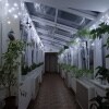https://cdn-ostrovok-ru-ion.test.edgekey.net/t/100x100/hotel_review/6d/e6/6de62545acbbda4b8afa490e2a228c06a260f07b.JPEG