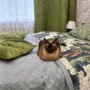 https://cdn-ostrovok-ru-ion.test.edgekey.net/t/100x100/hotel_review/6e/15/6e15ebca06959e78a696f64f88acae69b4041cbf.JPEG